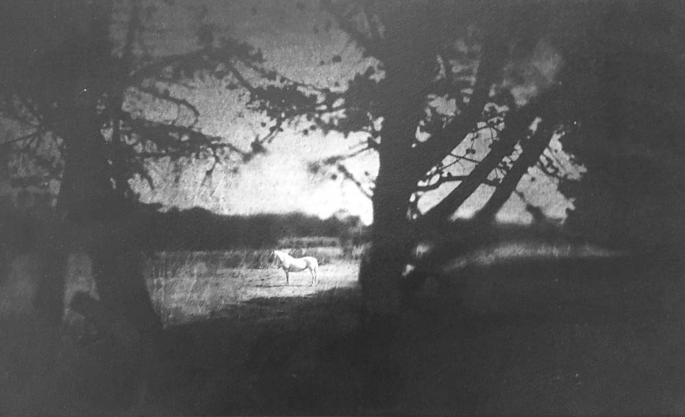 Œuvre de Vincent Descotils (photographie)