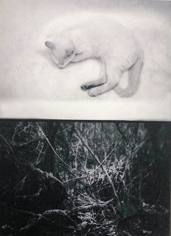 Œuvre de Vincent Descotils (photographie)