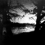 Vincent Descotils