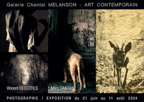 Photographie : V.Descotils, M.Dantan, P.Dion